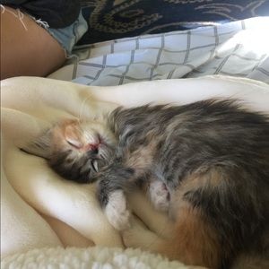 Meet your Posher, Carolyn